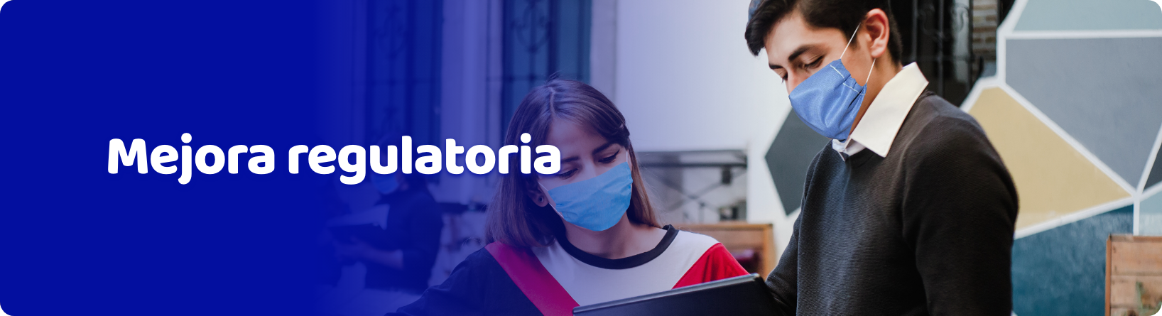 Mejora Regulatoria