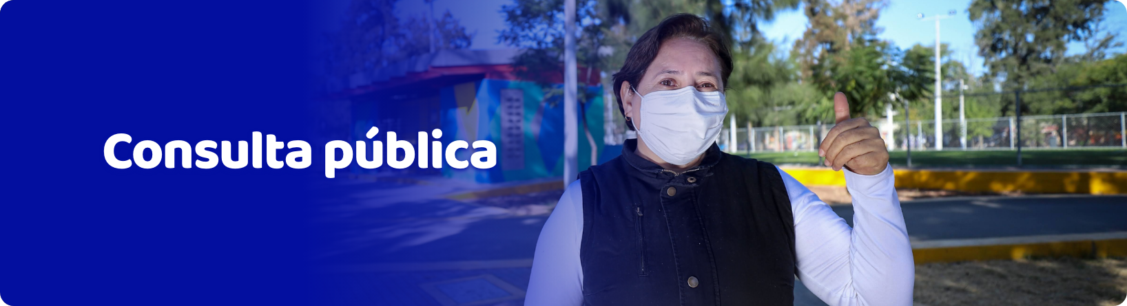 Consulta Pública