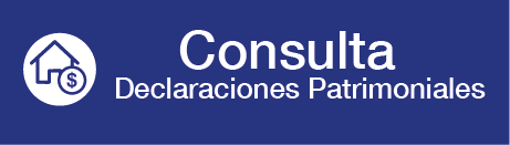 Declaraciones patrimoniales